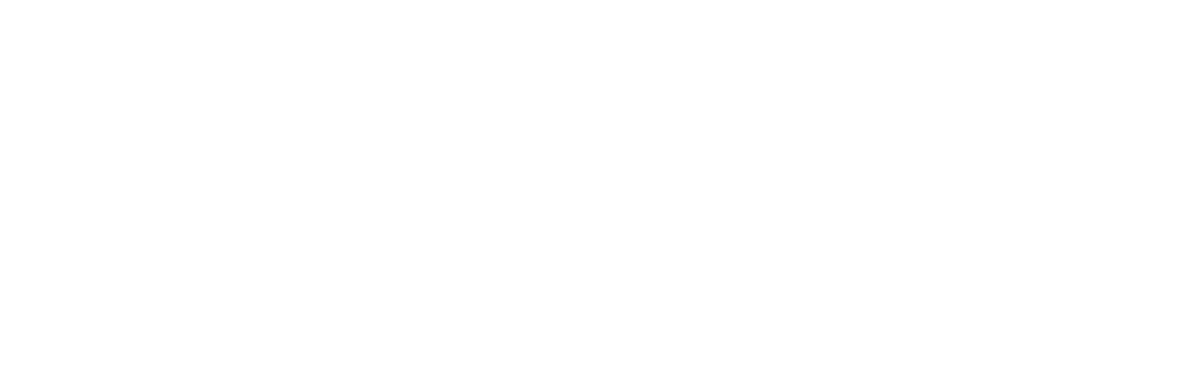 Logo BCA sports